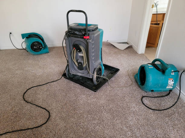 Best Commercial water damage restoration  in Woodworth, LA