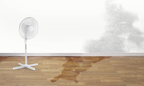 Best Ceiling water damage repair  in Woodworth, LA