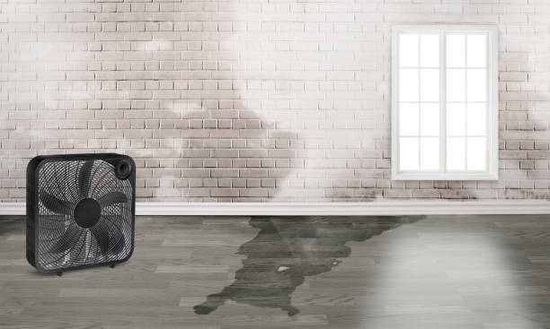 Best Residential water damage restoration  in Woodworth, LA