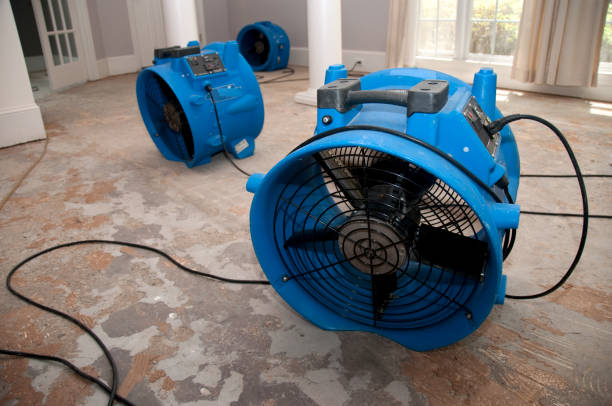 Best Mold removal after water damage  in Woodworth, LA