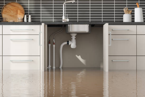 Best Commercial water damage restoration  in Woodworth, LA