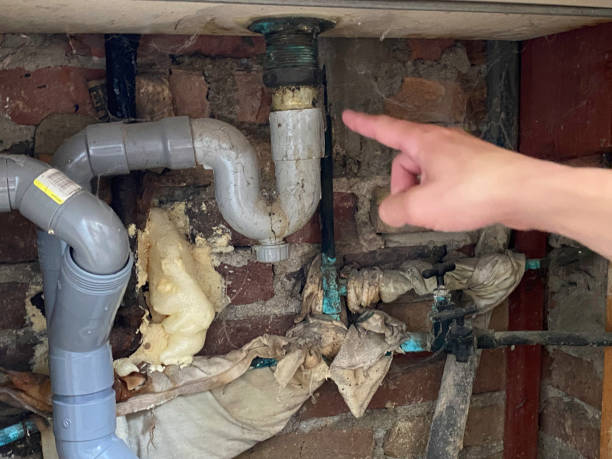 Best Flood damage cleanup  in Woodworth, LA